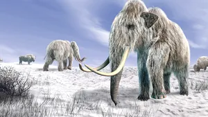 STUDIU: Genomul mamutului lânos, secvenţiat de o echipă internaţională de cercetători