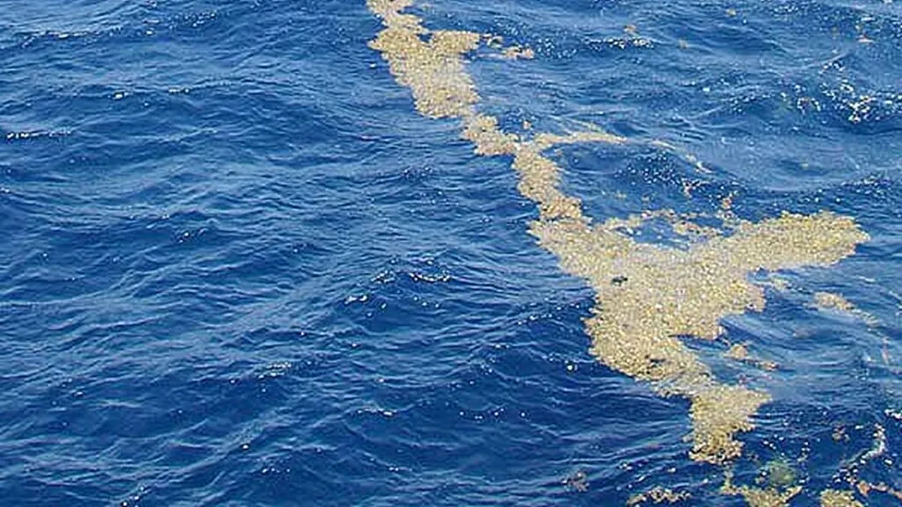 Există o mare care nu atinge niciun țărm. Nu pentru că e mică, ci pentru că nu are maluri