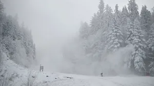 Tânăr blocat în zăpadă în afara pârtiei Șureanu, salvat de jandarmi