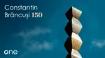 One United Properties a susținut premiera la Paris a documentarului „Constantin Brâncuși 150”