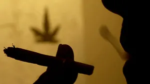 Tineri arestaţi pentru posesie de droguri