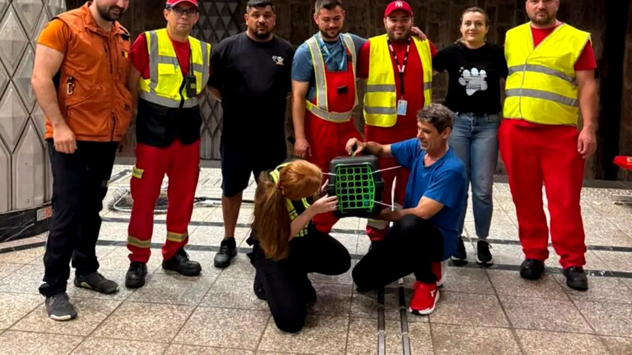Pisica blocată pe șinele de metrou a fost salvată de voluntari după mai multe zile