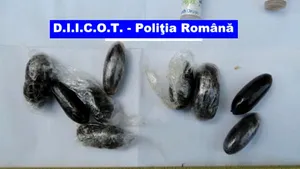 Trei francezi reţinuţi pentru că au vândut droguri la un festival de muzică din Caraş-Severin - VIDEO