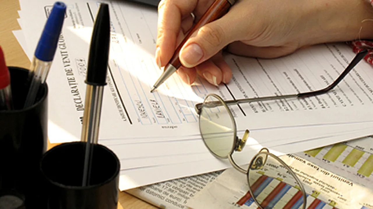 Firmele ar putea depune până la sfârşitul anului toate declaraţiile fiscale pe e-guvernare