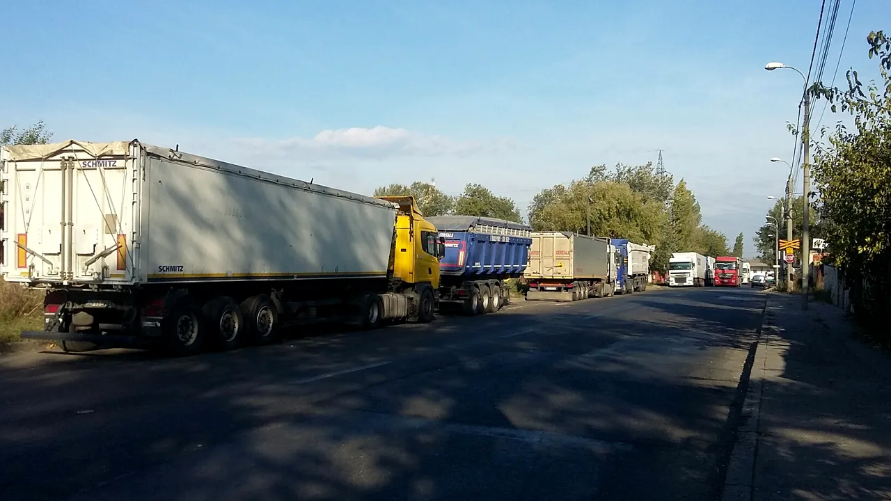 FĂRĂ loc de depozitare. Fermierii din acest judeţ sunt nevoiţi să-şi vândă cerealele la export pentru că nu au silozuri - GALERIE FOTO