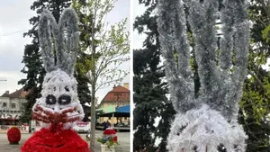 Iepurași horror amplasați în centrul Municipiului Baia Mare aprind spiritele printre localnici / „Te doare mintea cum arată”