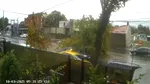 Momentul în care un copac este doborât de vânt peste mașini aflate în mers, în București