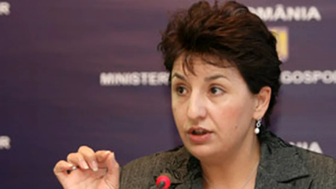 Sulfina Barbu: Tăriceanu minte când spune că taxa auto va fi returnata