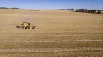 Washingtonul vrea să interzică investitorilor chinezi să cumpere terenuri agricole americane