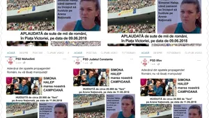Organizaţii PSD, despre Simona Halep: Huiduită pe Arena Naţională, aplaudată la mitingul PSD