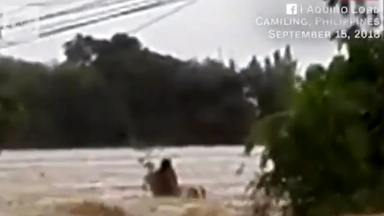 VIDEO Taifunul Mangkhut: 14 oameni ucişi de furtuna care a lovit Filipine