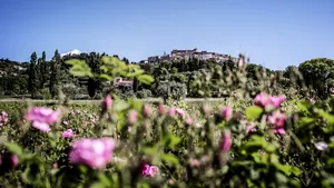 Castelul lui Christian Dior, unde designerul a creat primele sale parfumuri, a fost restaurat - GALERIE FOTO, VIDEO