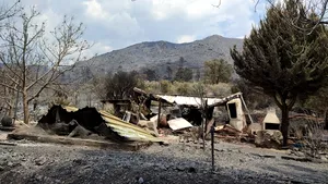 Incendii puternice de vegetaţie în Cipru. Autorităţile anunţă că focul este ţinut sub control