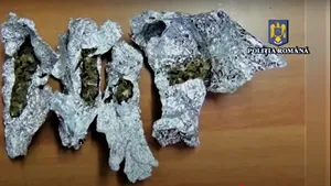 Gorj. Patru persoane, reţinute pentru trafic de doguri de risc şi mare risc