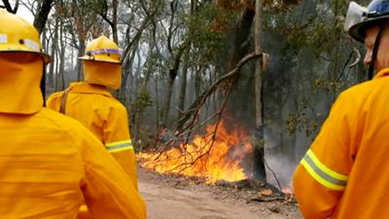 Aproape 30 de morţi în Australia, din cauza unui val de căldură (Video)