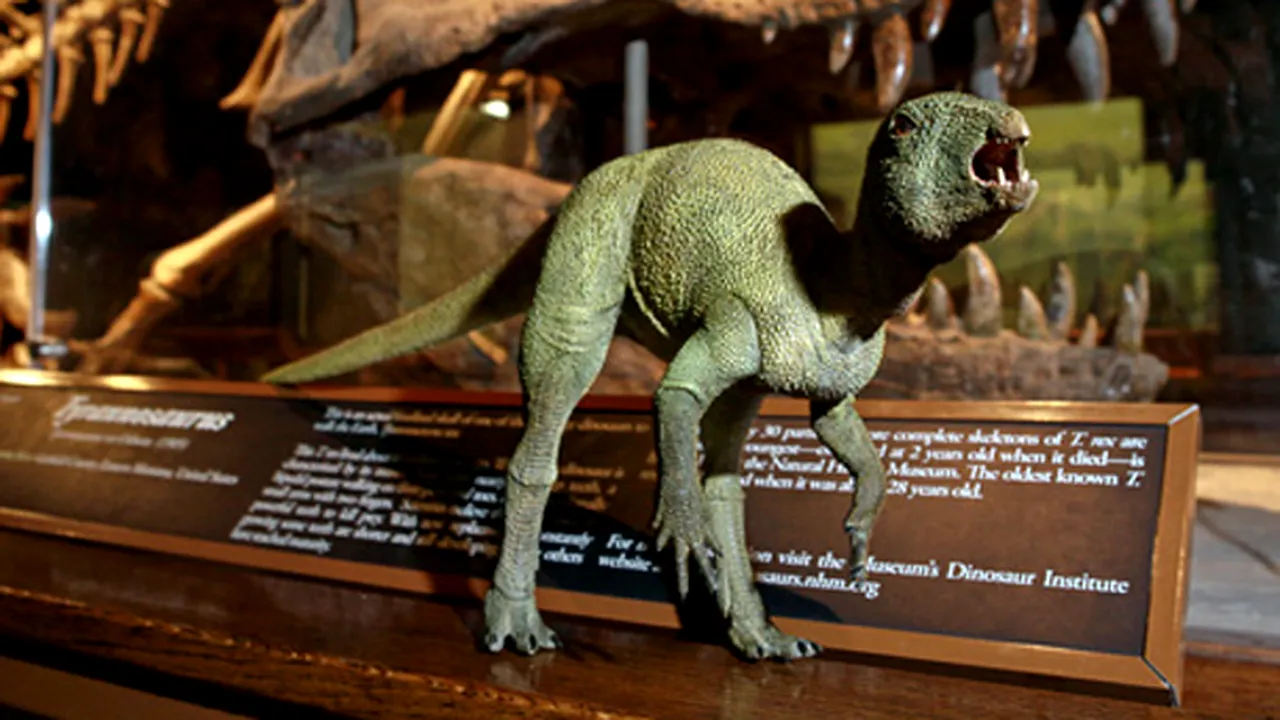 Fosilele unui dinozaur de mărimea unui iepure, expuse în Los Angeles