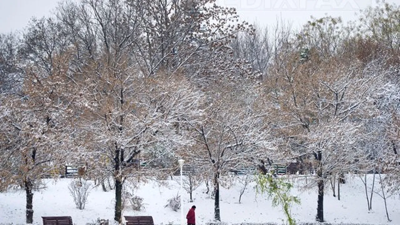PROGNOZA METEO până pe 13 ianuarie: Cum va fi vremea în primele două săptămâni din 2013