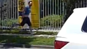 Un australian a fost amendat pentru că a alergat fără pantaloni în faţa reginei Elisabeta a II-a - VIDEO