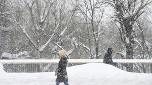 Alertă METEO: Ninsori, lapoviţă şi ploaie până sâmbătă, la ora 18.00 