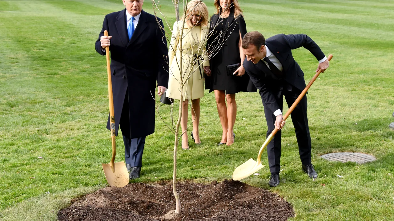 Gestul surprinzător făcut de Macron după ce s-a uscat stejarul plantat alături de Trump pe peluza Casei Albe