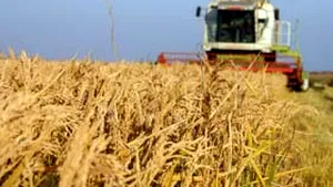 BCR a câştigat licitaţia pentru depozitarea fondurilor UE destinate agriculturii