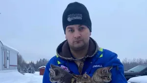 Trei pisoi prinşi în gheaţă au fost salvaţi de un bărbat, printr-o metodă inedită. Imaginile au devenit virale | VIDEO