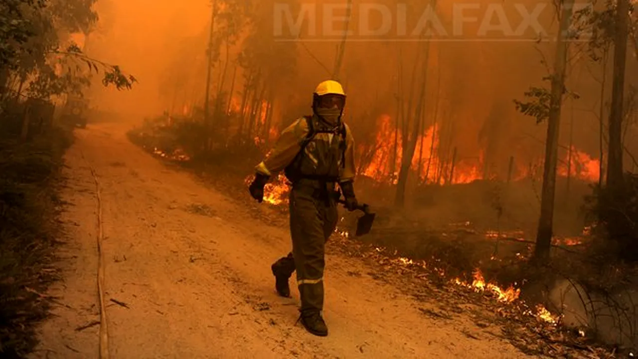 Incendiu devastator în nordul Spaniei: 10.000 de hectare de vegetaţie au fost distruse