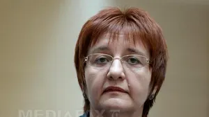 Şefa Bibliotecii Naţionale:Evenimentele contra cost sunt legale, veniturile folosite la îmbunătăţiri