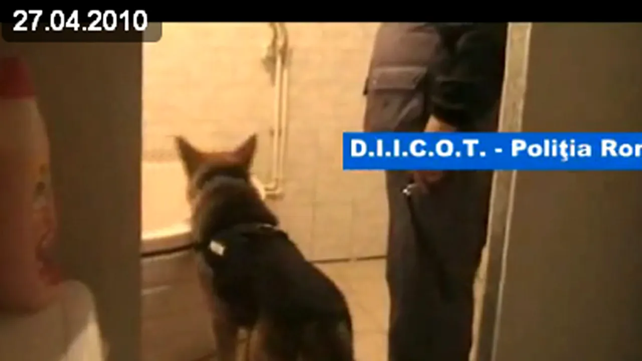 Poliţistul de la Secţia 3 a fost arestat, împreună cu fratele său