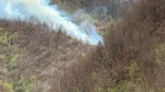 Incendiul de pădure din județul Argeș a fost lichidat după cinci zile. A fost provocat de o țigară