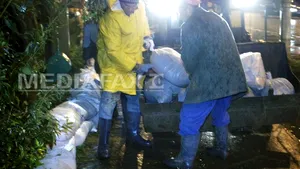 Argeş: Nisipul dus de către specialişti pe malul unui râu pentru îndiguiri, furat de localnici