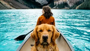 Cum să-ţi transformi animalele de companie într-o afacere profitabilă