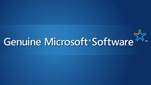 Microsoft a lansat în China un software anti-piraterie
