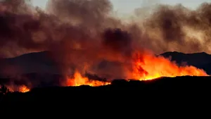 Peste 10.000 de persoane au fost evacuate din cauza unui incendiu de vegetație din sud-vestul Franței