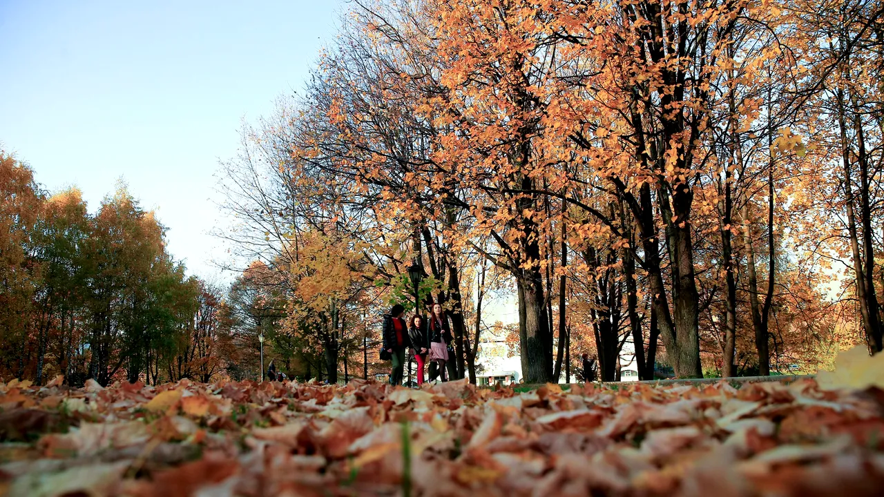Vremea va fi mai caldă decât cea normală pentru această perioadă până la începutul lui decembrie