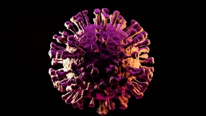 O nouă tulpină a virusului SARS-CoV-2, identificată în Marea Britanie. Oficialiul Matt Hancock face primele declaraţii, după informarea OMS