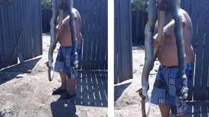 Şarpe de mari dimensiuni, dintr-o specie protejată prin lege, ucis într-o gospodărie din Dobrogea | FOTO