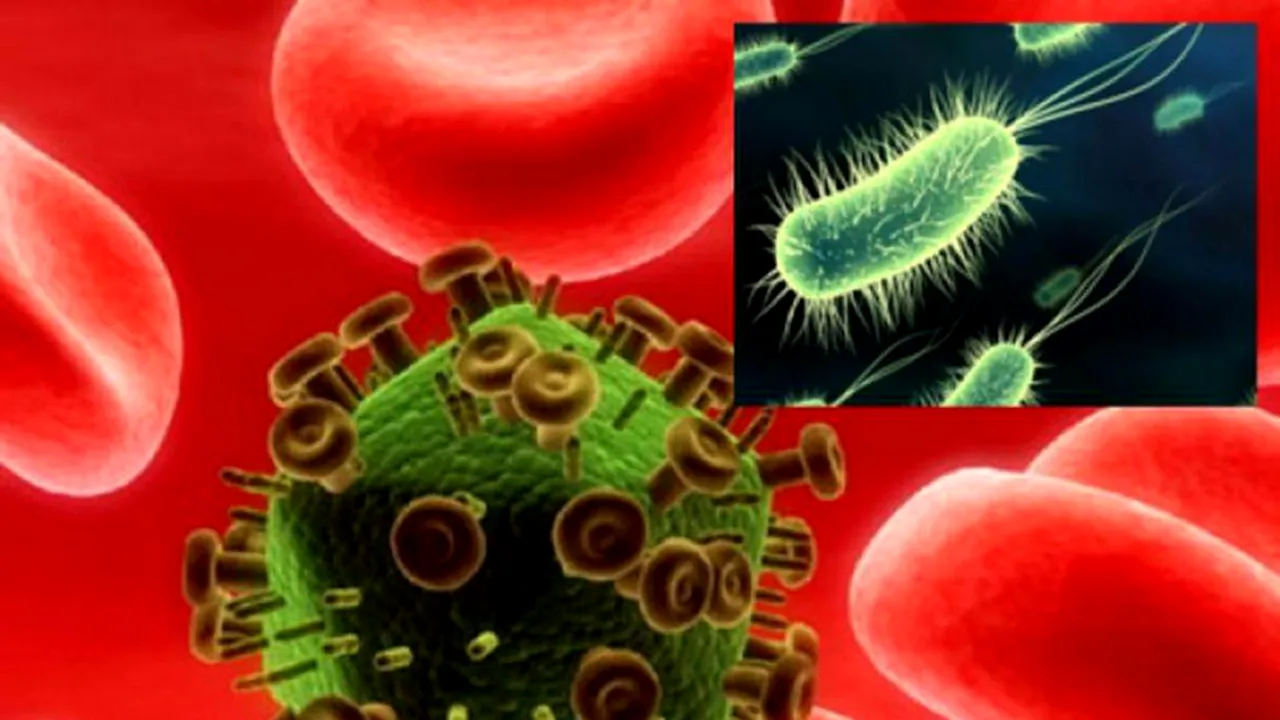 COMENTARIU Lelia Munteanu. Minune: covidul a ucis bacteriile!