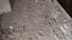 Sute de elevi evacuaţi dintr-o şcoală din Mizil, din cauza unui element de muniţie găsit întâmplător