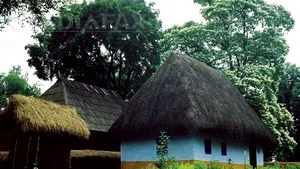 Târg de Sfinţii Apostoli Petru şi Pavel la Muzeul Satului: Ateliere,meşteşug, muzică, tradiţii populare