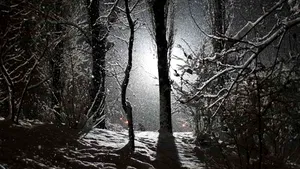 Prima ninsoare din acest sezon în Pasul Tihuţa