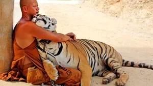 MEDIAFAX ZOOM: Viaţa cotidiană, luna mai 2013 - GALERIE FOTO