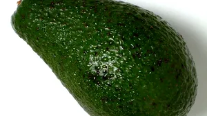 Thailanda a descoperit o formă a bacteriei E.coli în fructe avocado importate din Europa