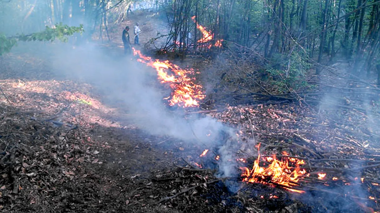 Elicopter de la Aviaţie, solicitat pentru stingerea unui incendiu puternic în Lunca Arieşului, judeţul Alba