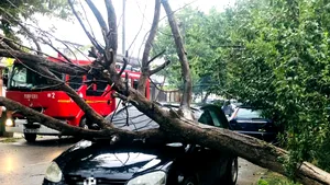 Vânt puternic și copaci doborâți în București și Giurgiu. Zeci de intervenții ale pompierilor