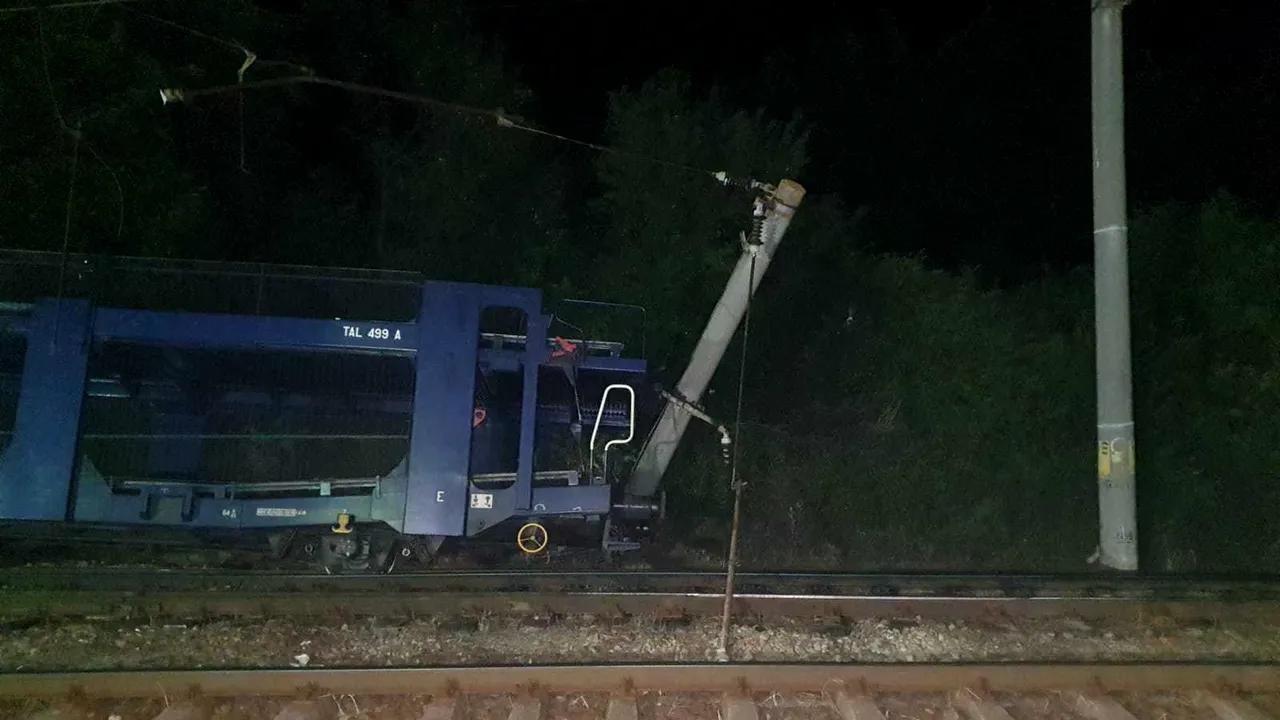 GALERIE FOTO | Un tren a deraiat şi a acroşat un stâlp de electricitate. Nu au fost înregistrate victime