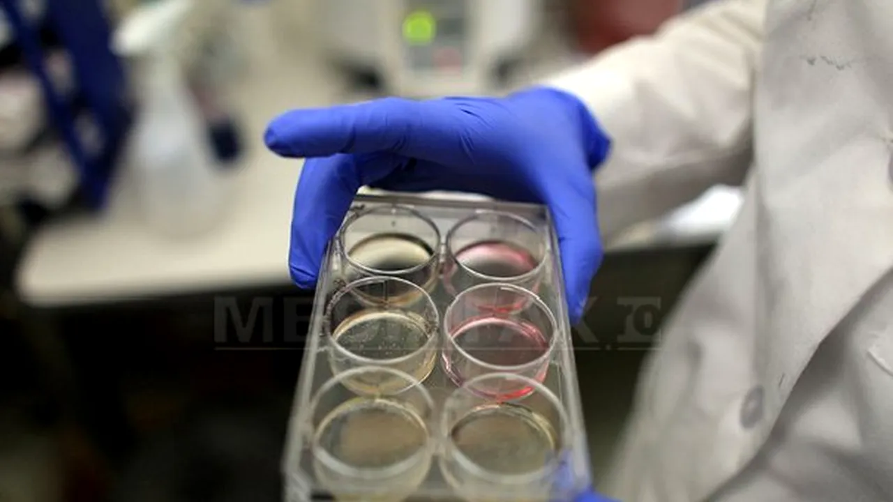 O bacterie periculoasă stârneşte îngrijorare în Germania