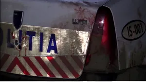 Pericol public, la 22 de ani. O fată a bătut doi bărbaţi şi a distrus mobilierul într-un bar din Dâmboviţa