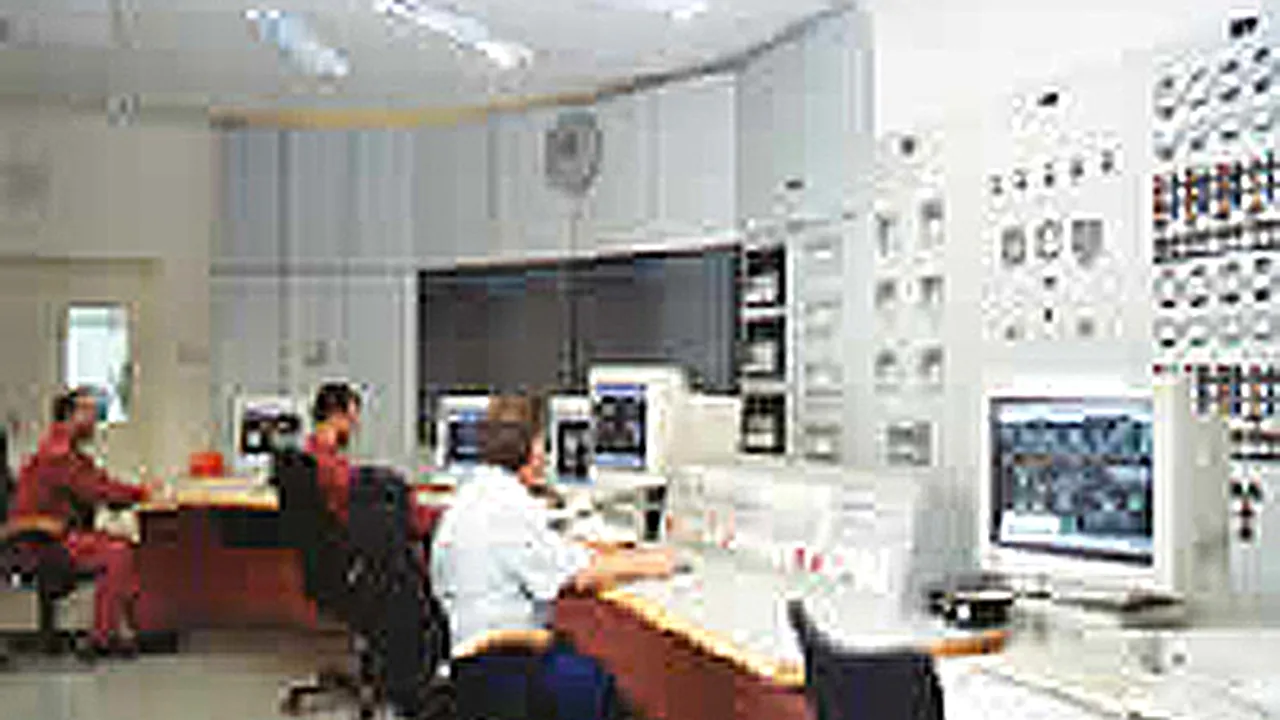 Fostul director al Complexului Turceni a fost eliberat din arest