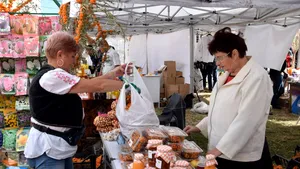 Cultura de CĂTINĂ, zisă şi 